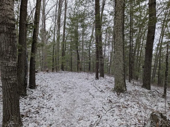 V/l 0 W Crooked Lake Rd, Lake City, MI 49651