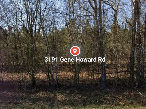 3191 GENE HOWARD Road, Stapleton, GA 30823