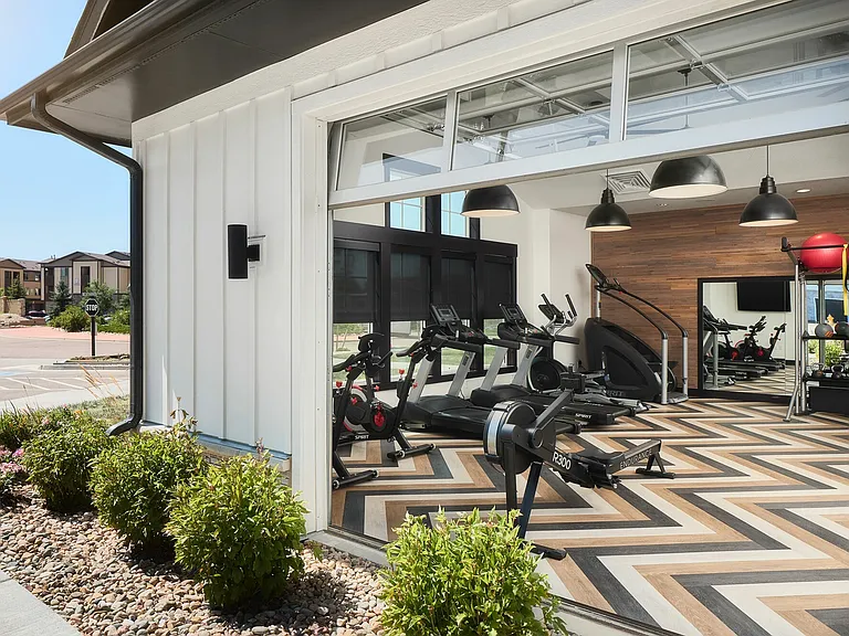 The-Lark-Dog-Spa-Fitness-Room-007