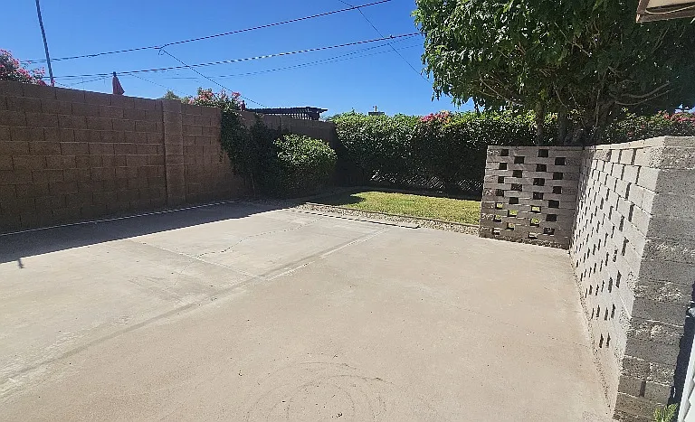 Backyard