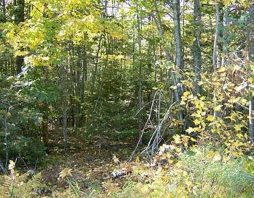 2nd image of 139 Cross Road