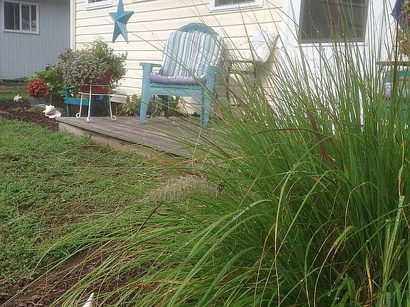Cottage Front