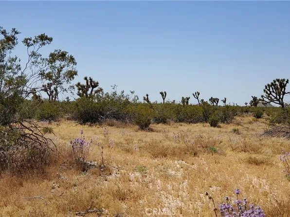 0 Vicinity Ave #U-2, Llano, CA 93544