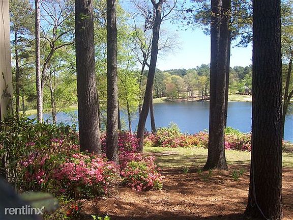 Lake View in Spring
