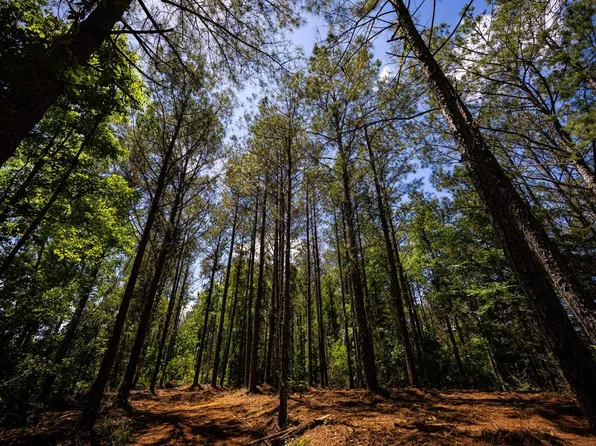 0 John Rankin Hwy Tract 2, Fulton, MS 38843