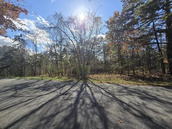 0 Buttercup Ln #1, Thaxton, VA 24174