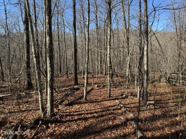 0 E Cove Rd Lot 21, Monterey, TN 38574