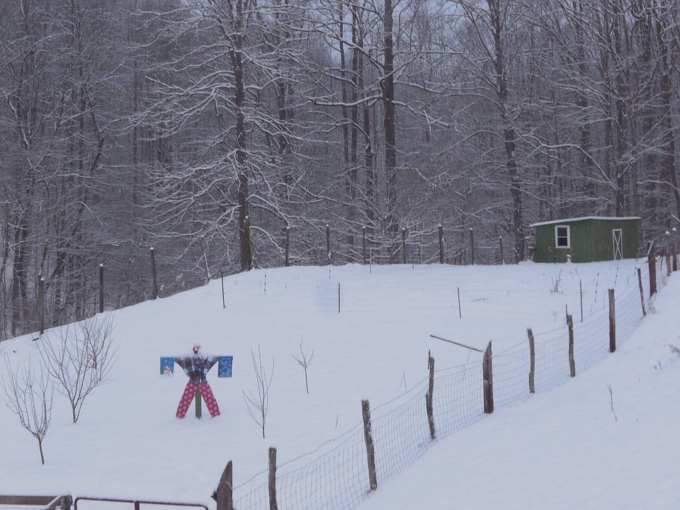 13th image of this home