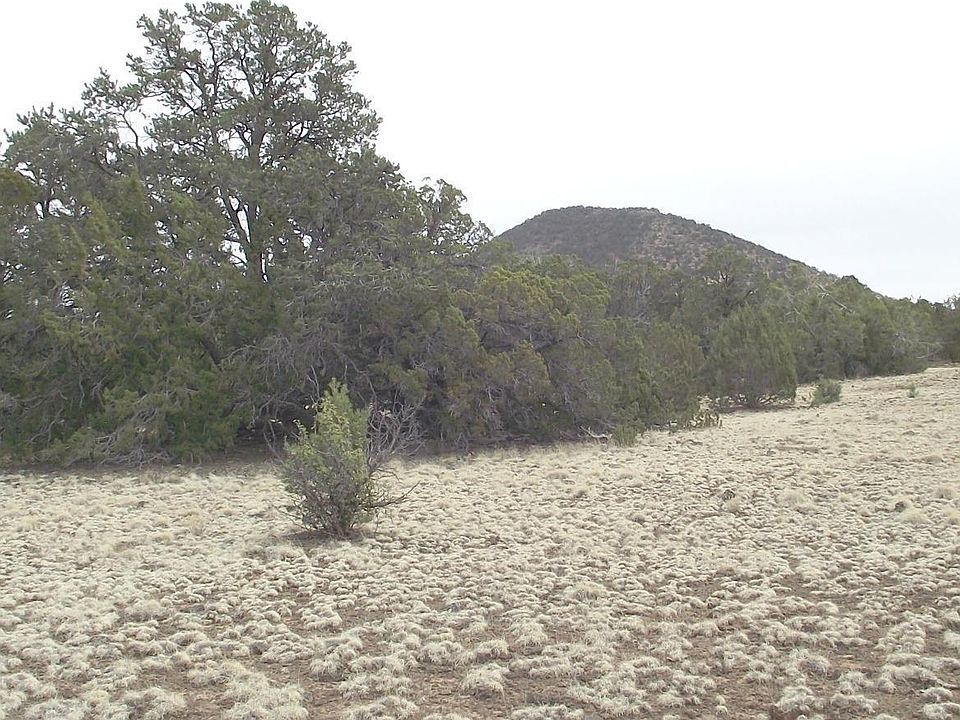 1st image of 10741 N Dry Gulch Trl