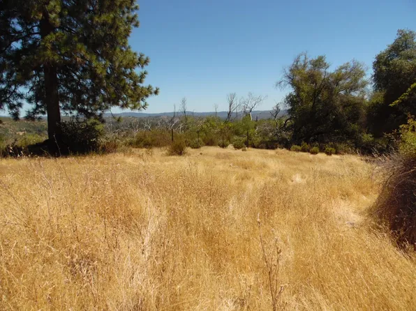 9741 Wendell Rd, Mountain Ranch, CA 95246