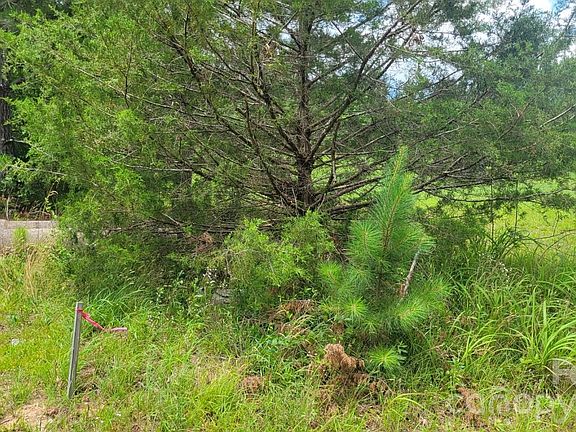 4th image of 0 Riverview Rd