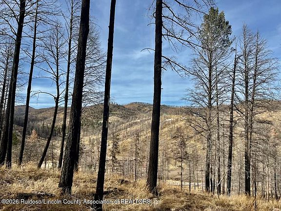 2nd image of 116 Bluebelle Ln