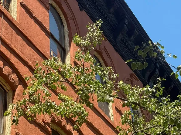 822 Marcy Avenue image 1 of 10
