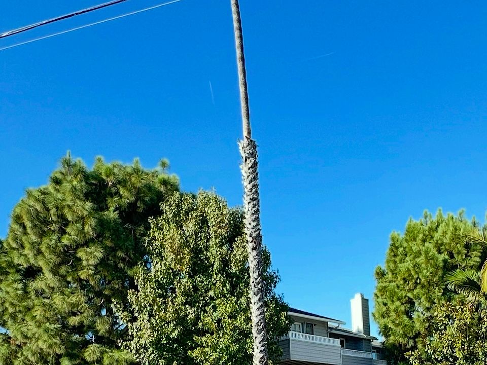 1st image of 1994 Diamond St Unit 4