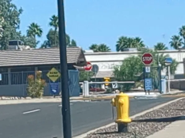 295 Leisure World, Mesa, AZ 85206