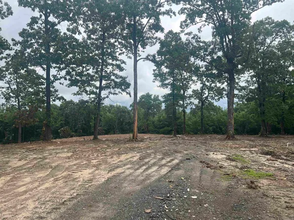 533 Eagle Vw, Clinton, AR 72031