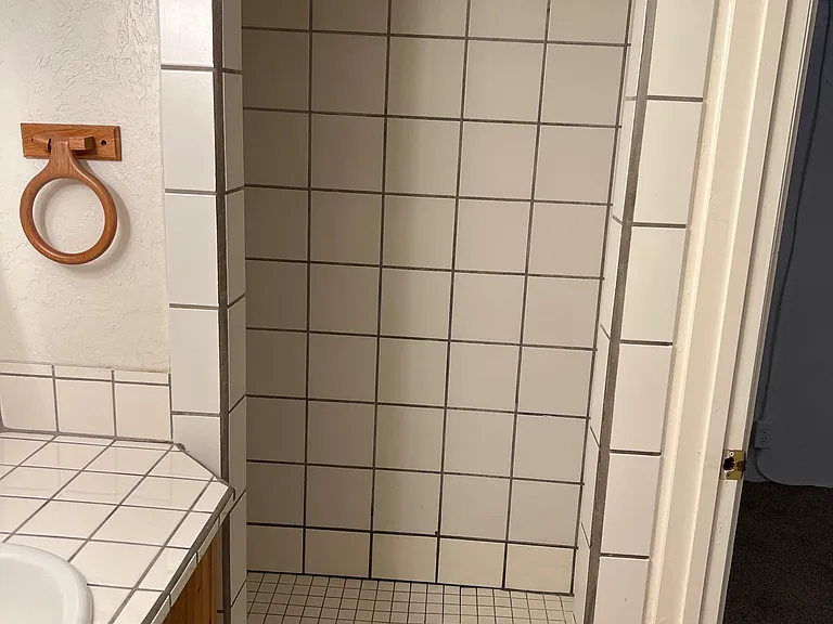 downstairs shower