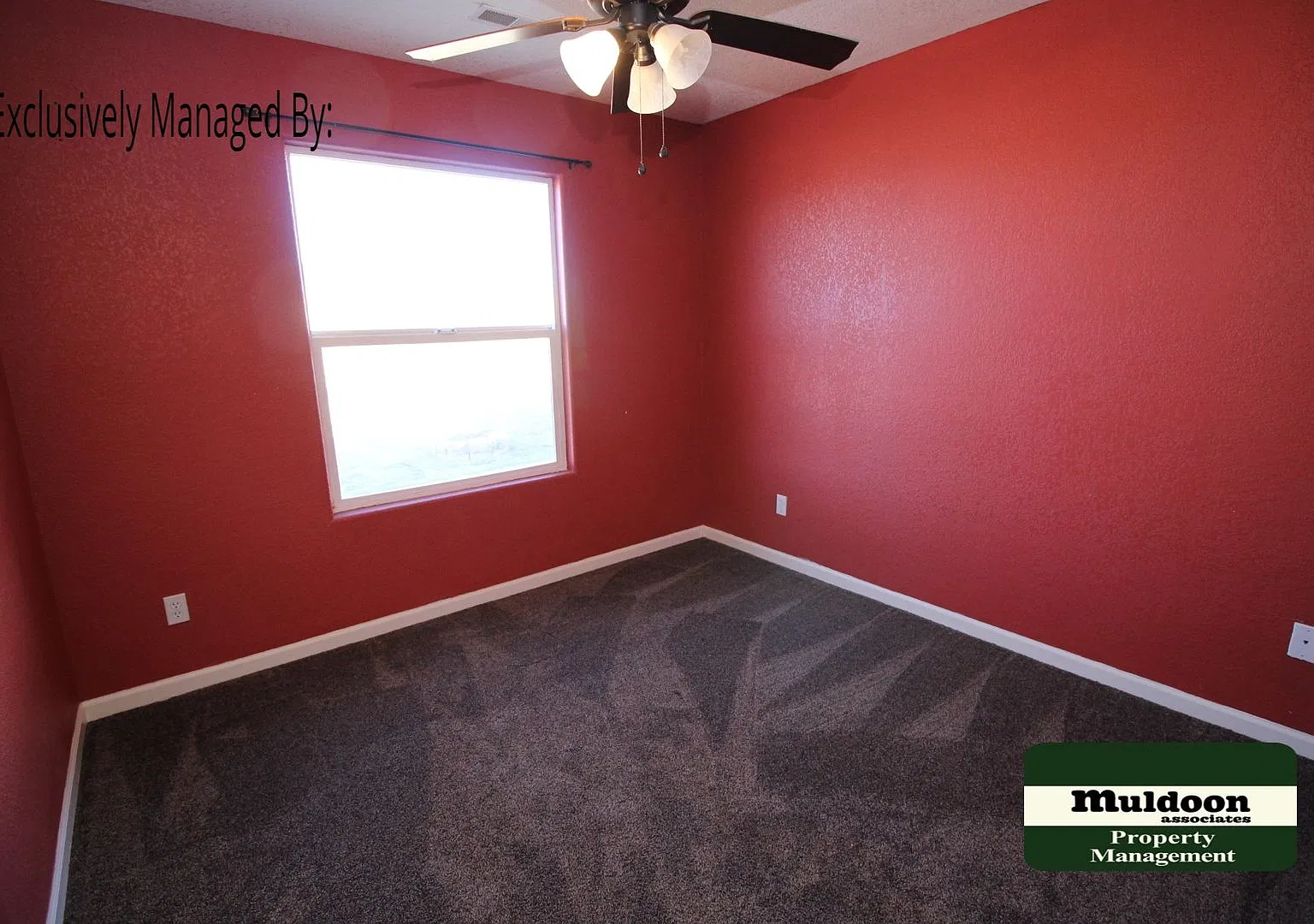 Awesome Pueblo West Pet Friendly Home! Available soon! — Photo 4