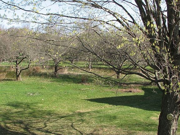 2.9 acres, 20+ apple trees