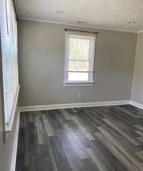 11900 Wilcox Neck Rd — Photo 5