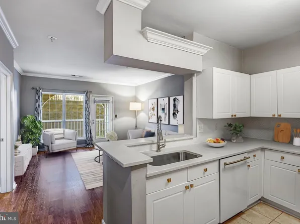 4560 Strutfield Ln APT 1110, Alexandria, VA 22311