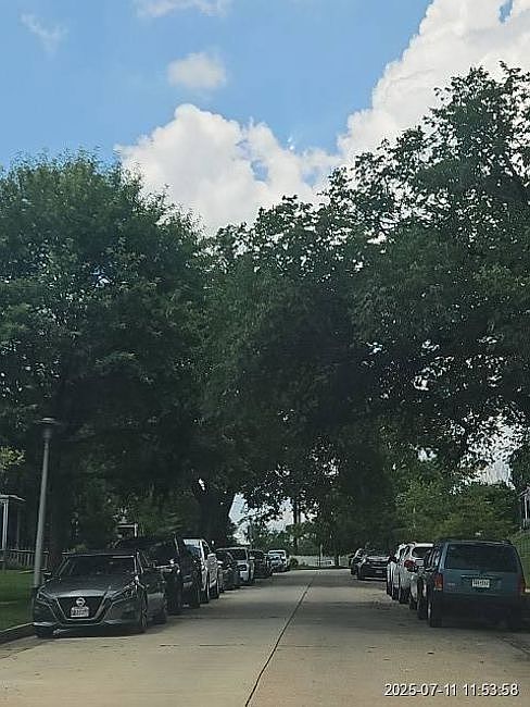 Exterior Neighborhood (street photo)