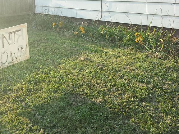 Front gardens