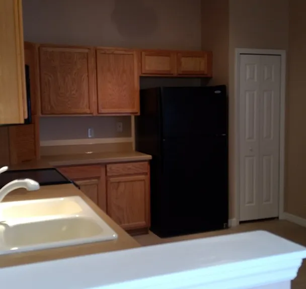 14651 Water Locust Dr — Photo 8