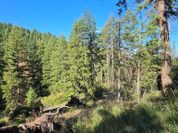 N Gages Mountain Rd, Coeur D Alene, ID 83814