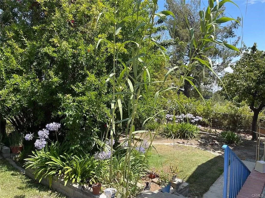 5 bed, 2831 sqft, $6,300 — Photo 2