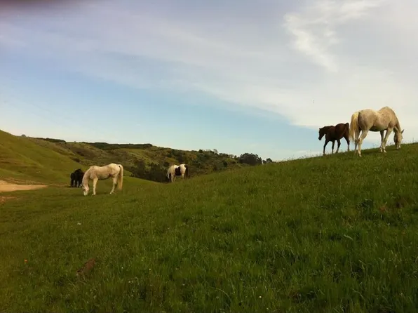 95 Vasco Ct, Mill Valley, CA 94941