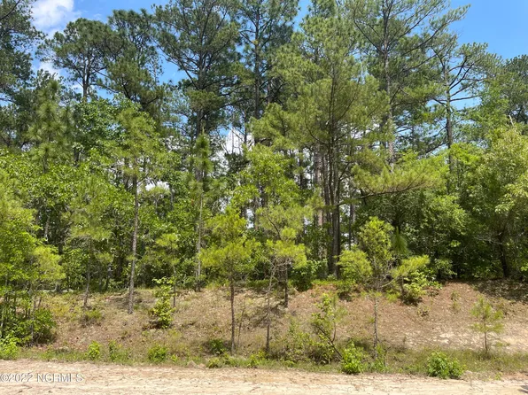 1041 Sorrell Drive, Vass, NC 28394