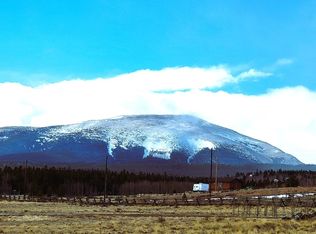 542 Thickspike Rd, Fairplay, CO 80440