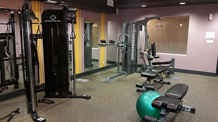 Rented by Chana Ofek, LREB | media 25