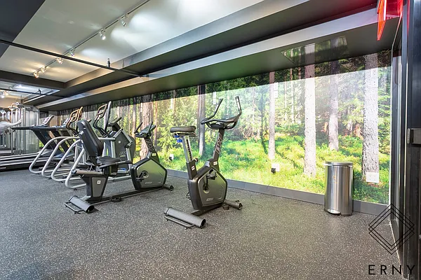 Rented by ERNY LLC | media 48