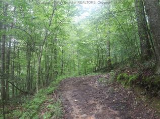 0 Off Route 16 Rd, Ivydale, WV 25113