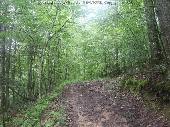 0 Off Route 16 Rd, Ivydale, WV 25113