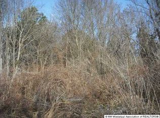 648 Massey Dr, Coldwater, MS 38618