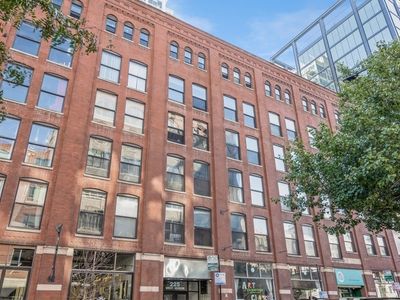 225 W Huron St APT 314, Chicago, IL, 60654