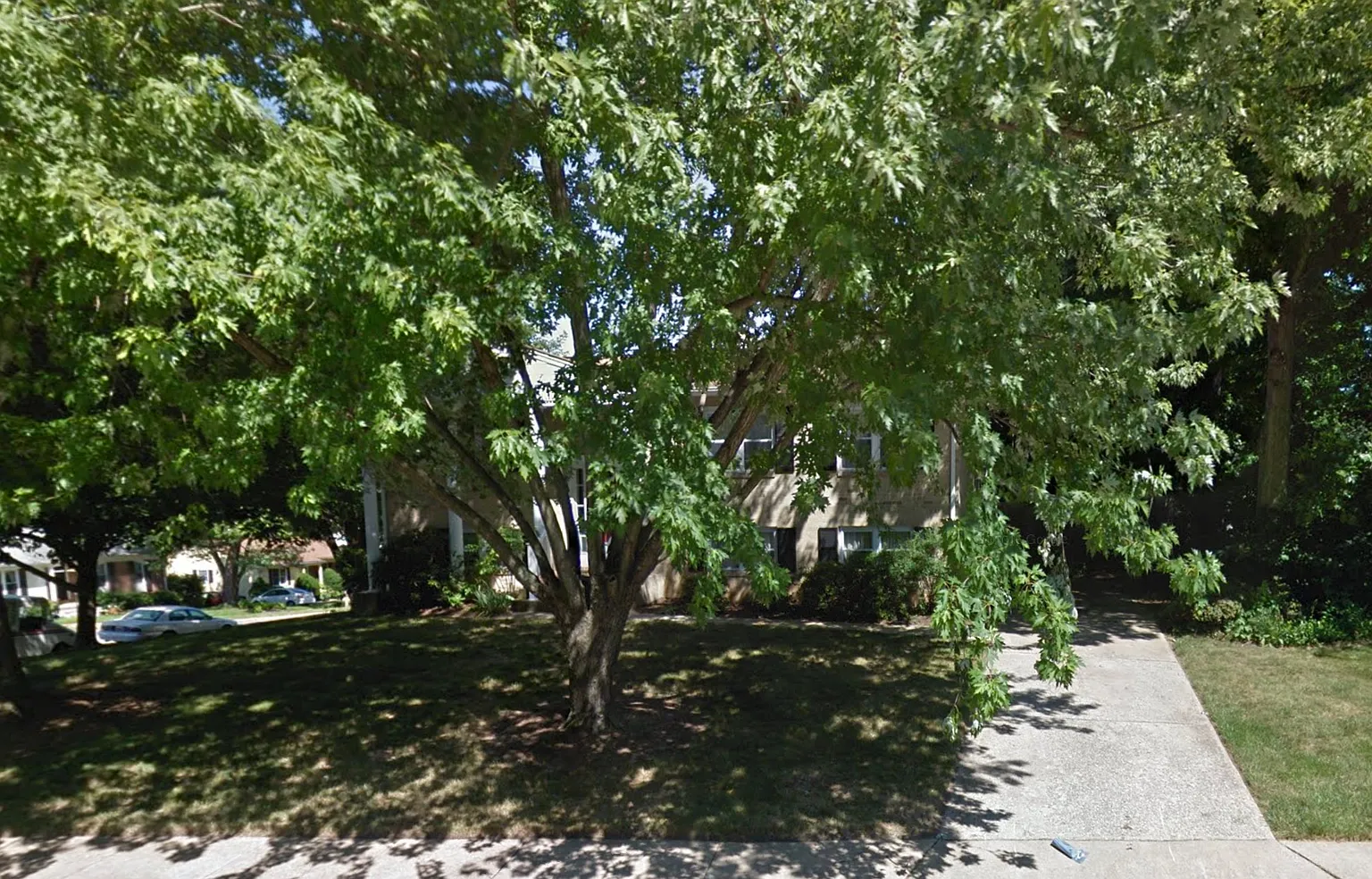 1338 Hickory Spring Cir photo 1