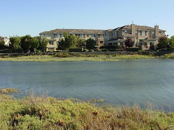 Marina Pointe
