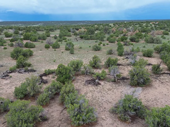 36 Arrow Ct, Quemado, NM 87829