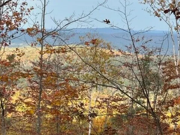 Lot 42-B2 Bear Trap Road, Bridgton, ME 04009