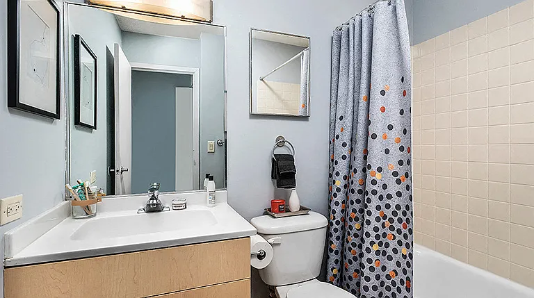 Park Michigan One Bedroom - Bathroom