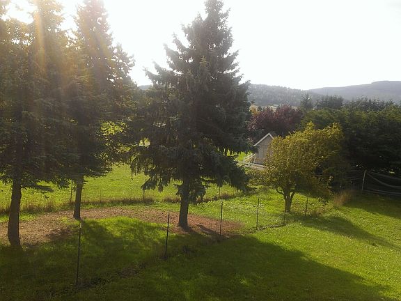 View from porch looking left