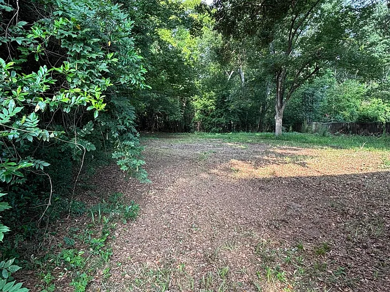 2426 Peach Orchard Rd — Photo 32