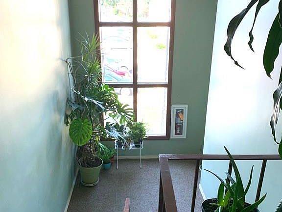 2nd image of 80 Damon Rd APT 4306