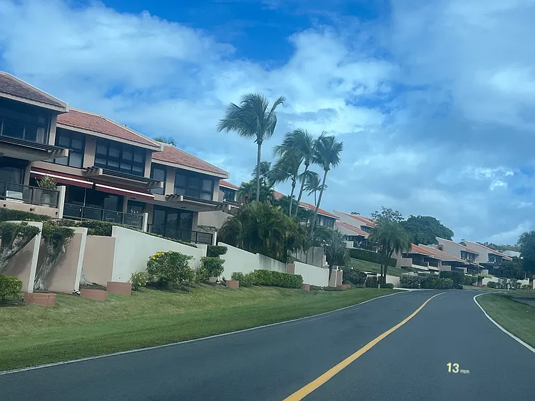 C4 La Jolla Palmas Del Mar Dr — Photo 7