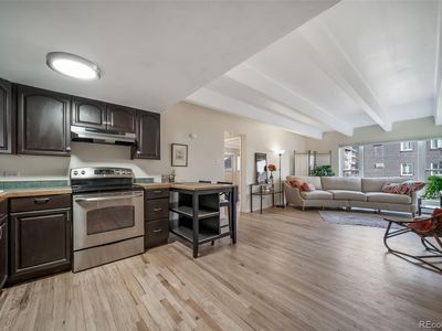 33 N Corona Street #205, Denver, CO, 80218