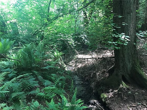 Set up a picnic alongside your peaceful stream!